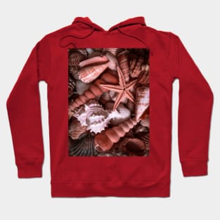 Seashells Caribbean Beach Sand Summer Hoodie